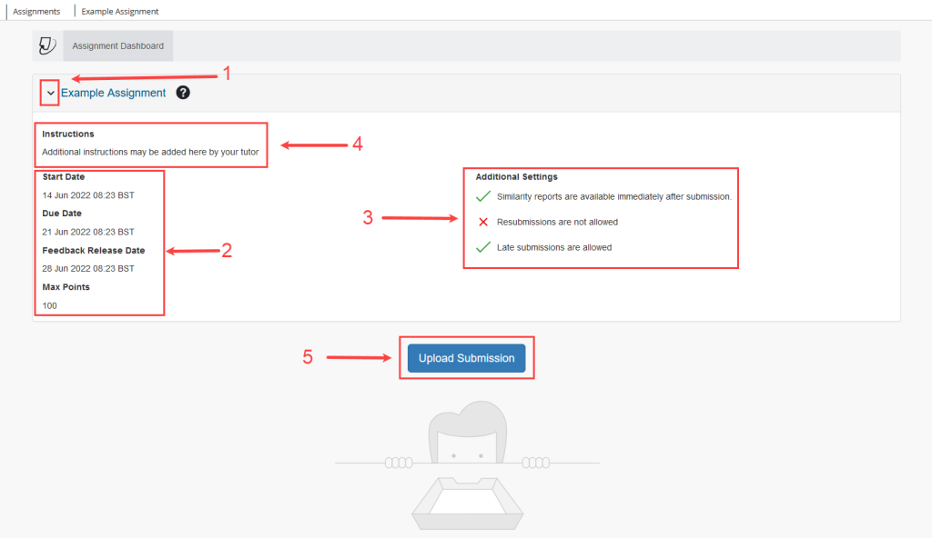 submitting your assignment to turnitin via blackboard